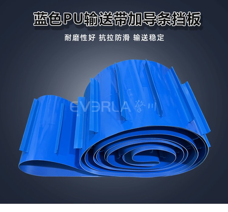 藍(lán)色PU輸送帶加擋板導(dǎo)條.jpg
